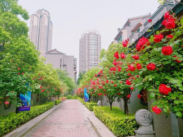 亚星注册平台